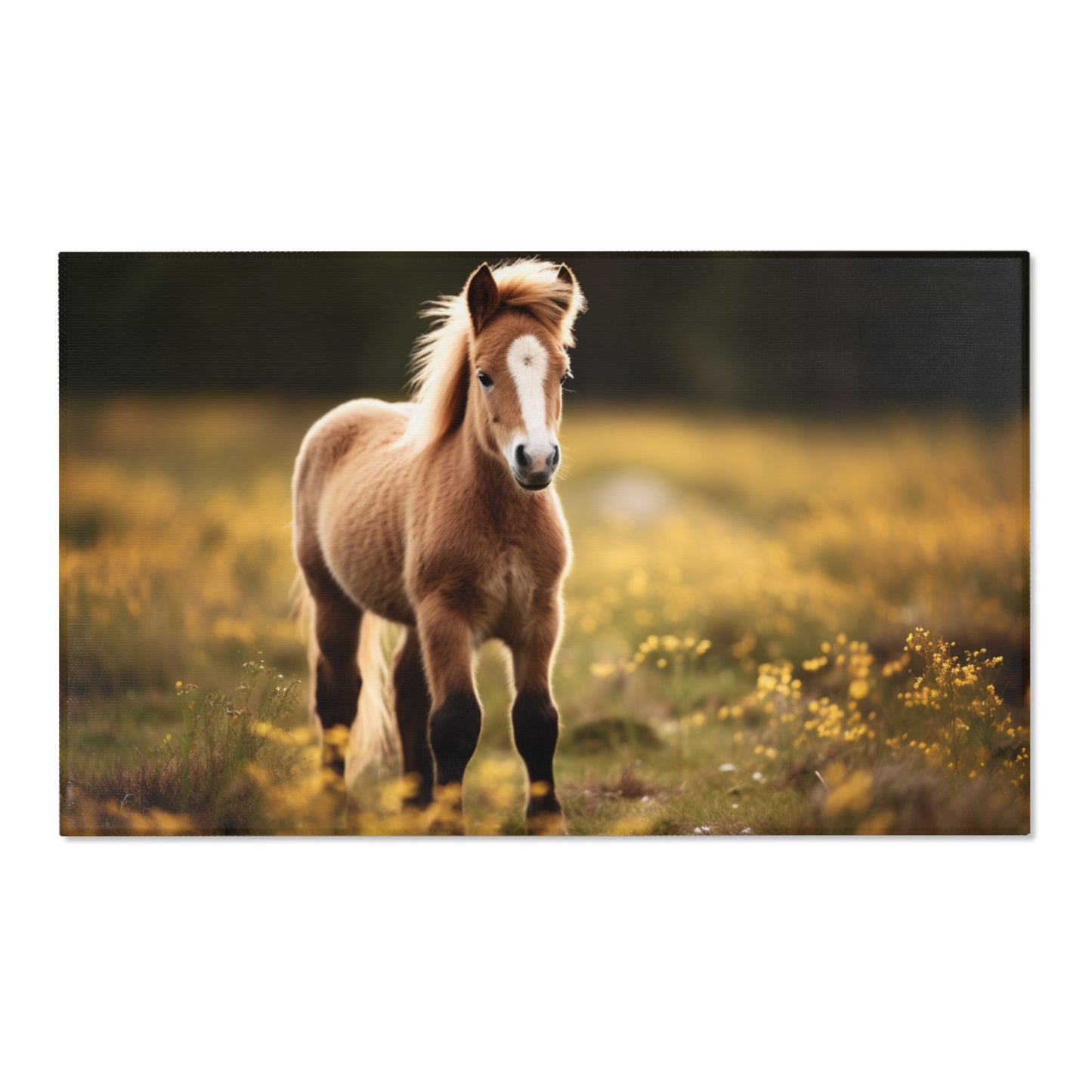 Horse Field Querformat