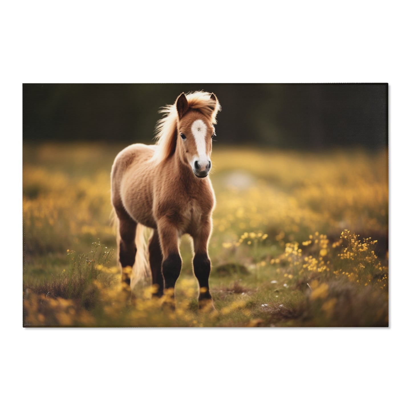 Horse Field Querformat