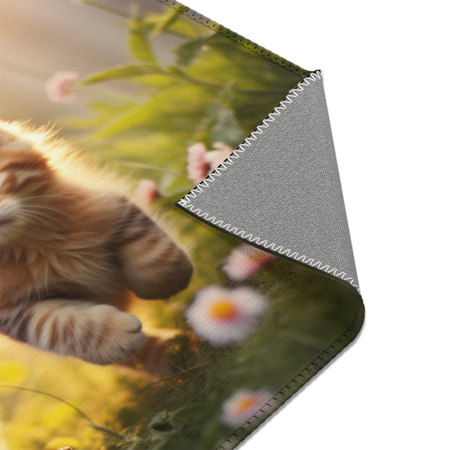Baby Cats Running Querformat