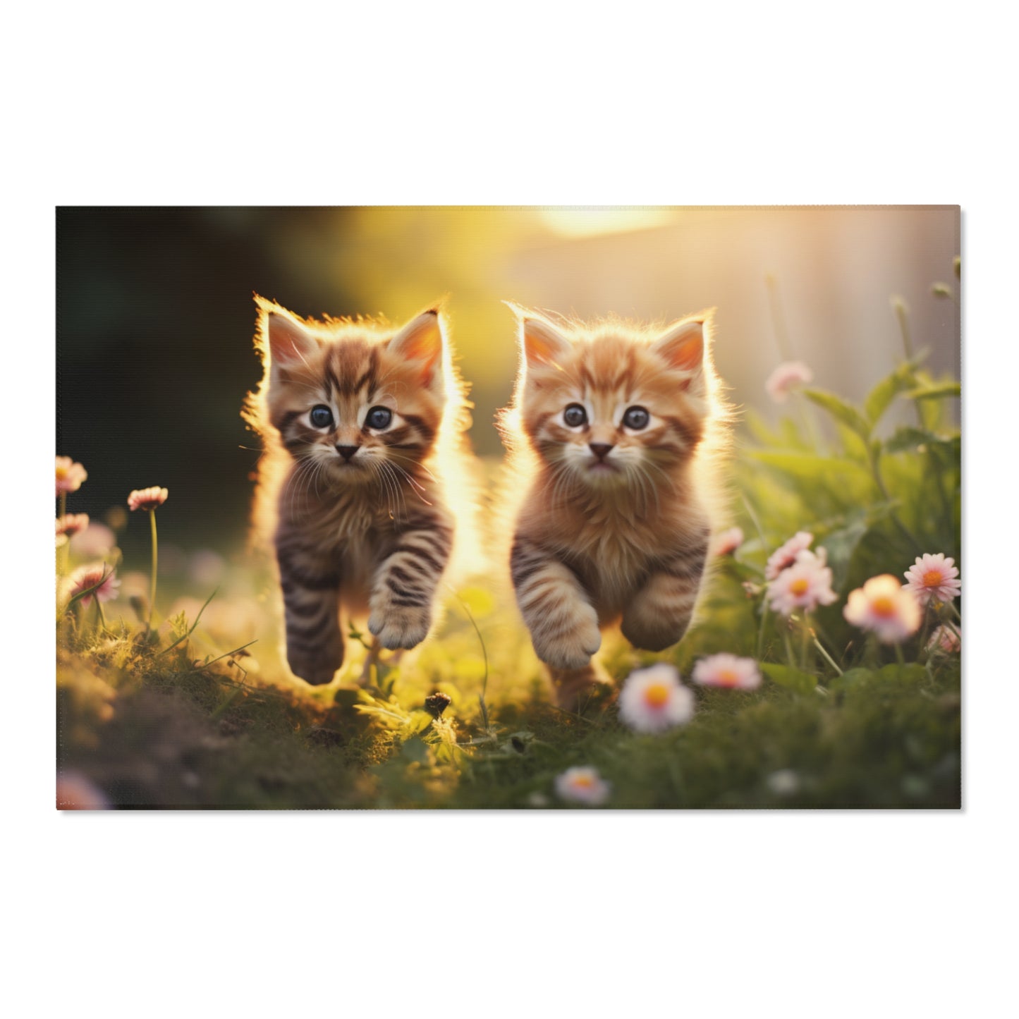 Baby Cats Running Querformat