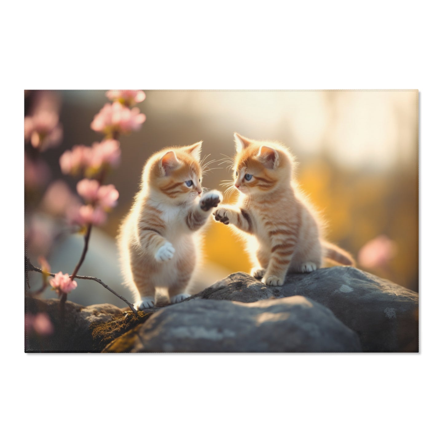 Cute Baby Cats Querformat